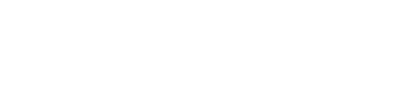 Fox One Project